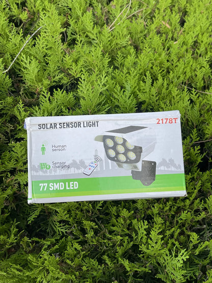 Smart Solar Sensor Light – With Motion Sensor